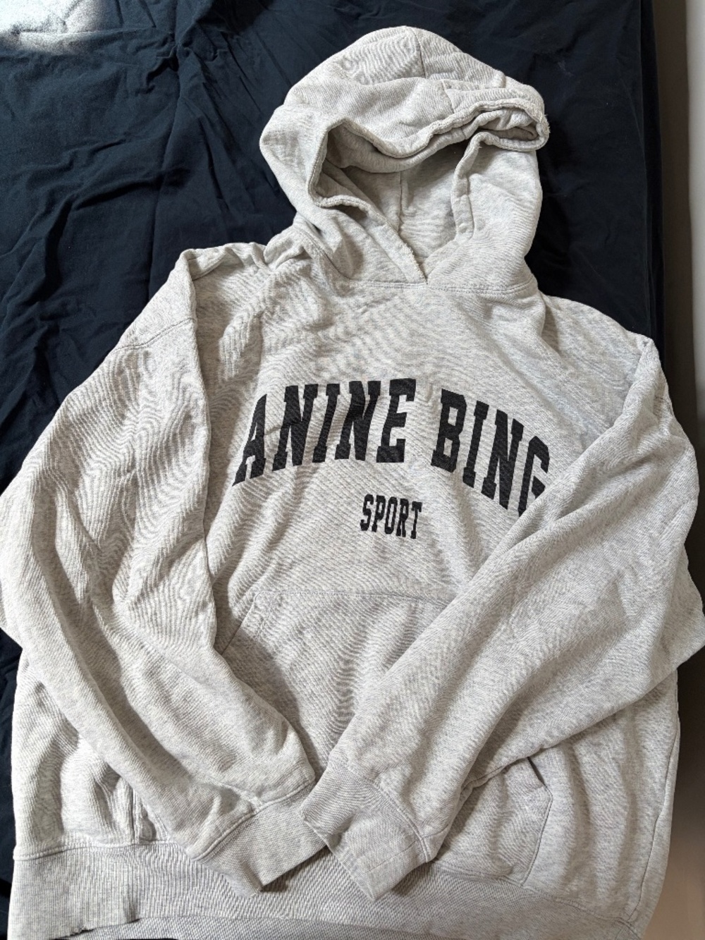 Anine Bing Sport Hoodie